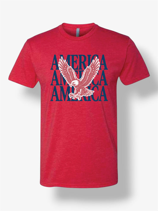 4th of July Tee